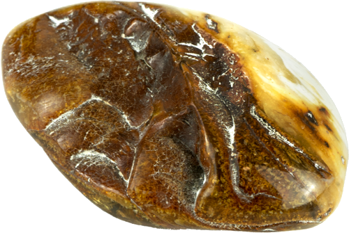 24 g Gintaro grynuolis (1)