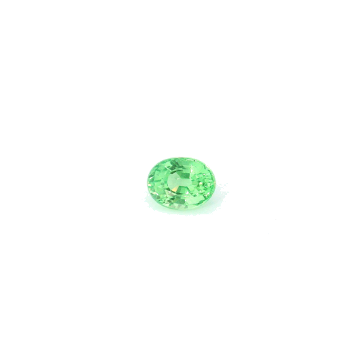 0.46 carat GREEN Oval Garnet (1)