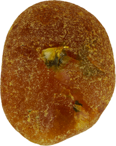 6,60 g Jūrinio Gintaro grynuolis (1)