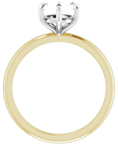 Sužadėtuvių Žiedas „Claw-Prong“ 14k yellow/white gold Round 7mm (2)