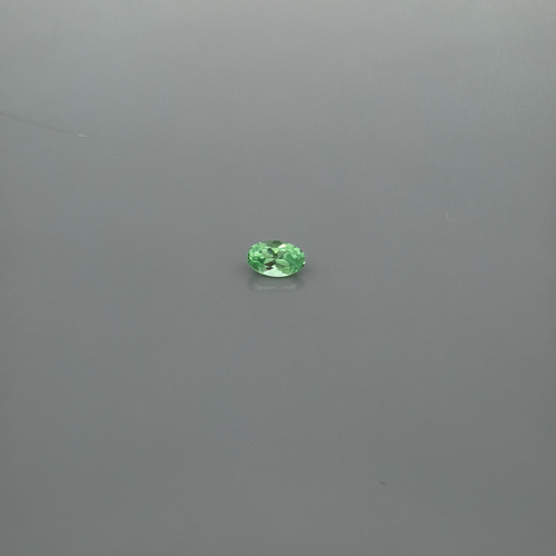 0.34 carat GREEN Oval Garnet (1)