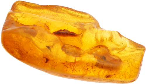 21,10 g Amber Nugget with inclusion (3)