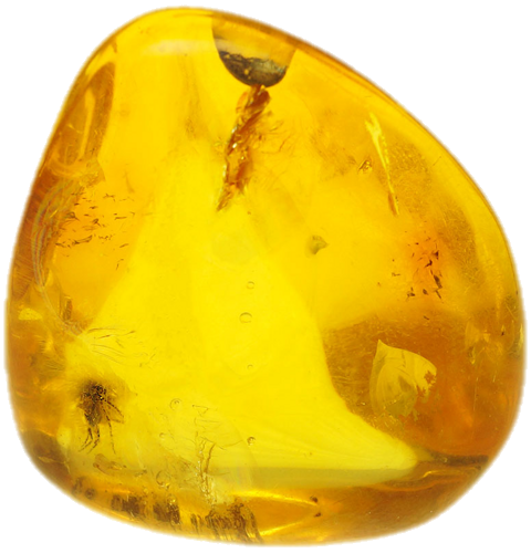 10,90 g Gintaro grynuolis su inkliuzu (3)