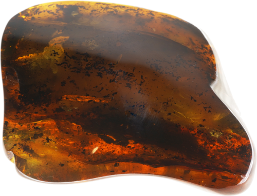 31,60 g Amber nugget (2)