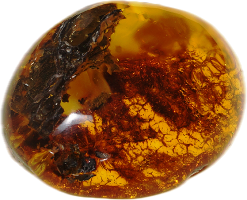 11,25 g Gintaro grynuolis (1)