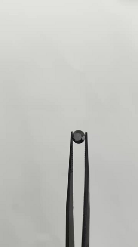 0.67 carat Fancy Black-VVS2 Excellent cut Natūralus Round Deimantas (1)