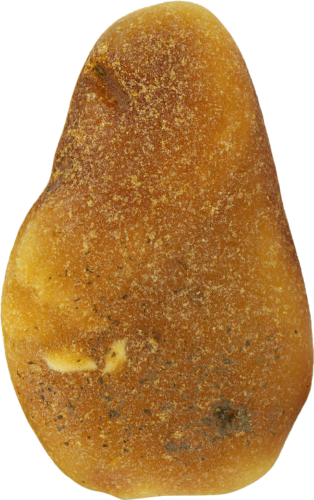 5,95 g Jūrinio Gintaro grynuolis (1)