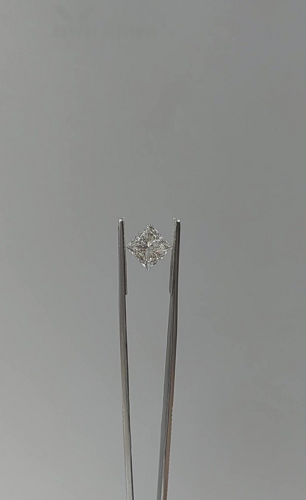 4.03 carat G-SI2 Natūralus Princess Deimantas (1)