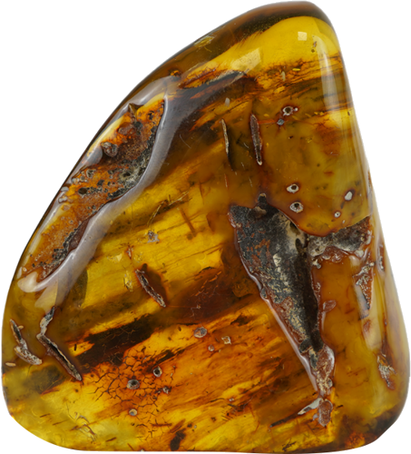 41,20 g Amber nugget (1)