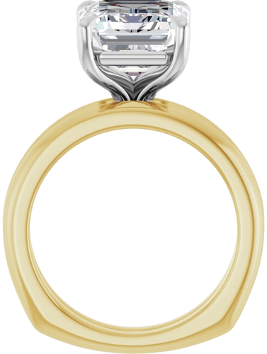 Sužadėtuvių Žiedas „Claw-Prong Euro Shank“ 14k yellow/white gold Emerald 11mm x 9mm (7)