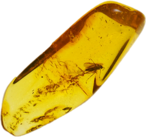 1,25 g Dzintara tīrradnis ar inkrustāciju (1)