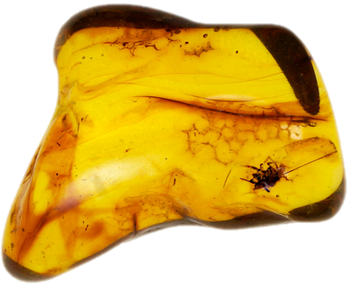 5,70 g Amber Nugget with inclusion (1)