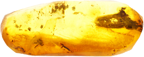 3,40 g Gintaro grynuolis su inkliuzu (3)