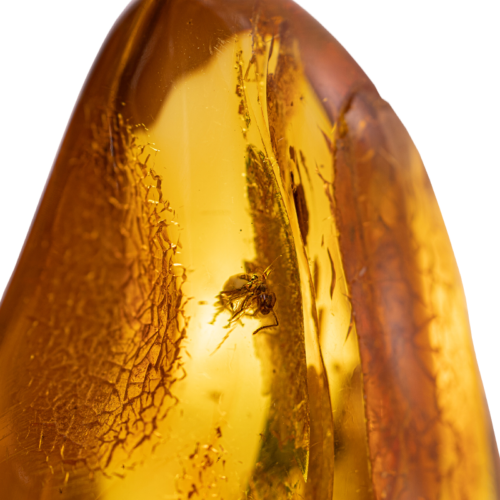 15,10 гр. Самороден кехлибар с фосил (2)