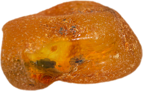 Морской янтарь 7,50 г (1)