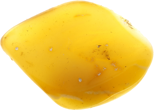 5,60 g Dzintara gabals (2)