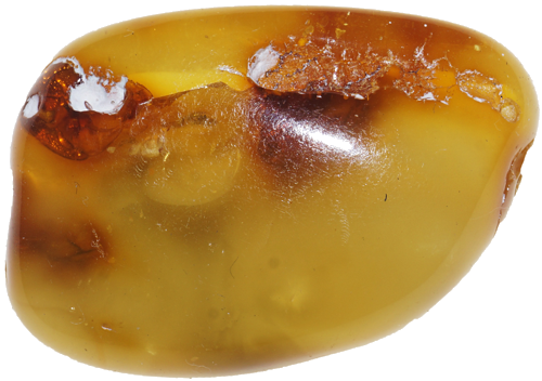 9,90 g Gintaro grynuolis (2)