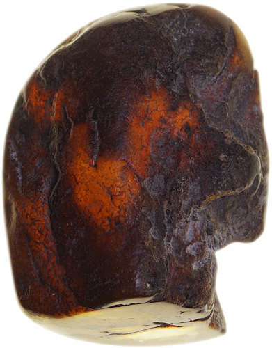 19,90 g Gintaro grynuolis (1)