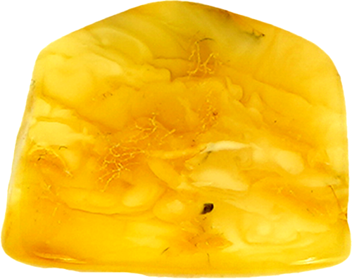 4.95 g Amber nugget (2)