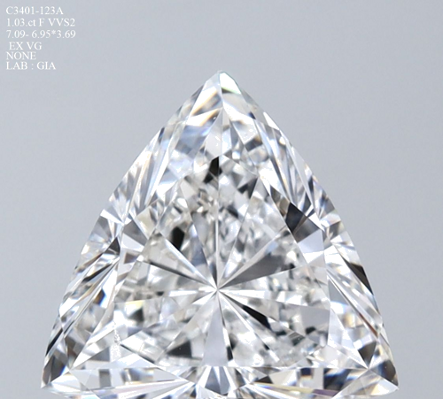 1.03 carat F-VVS2 Natūralus Triangular Deimantas (1)