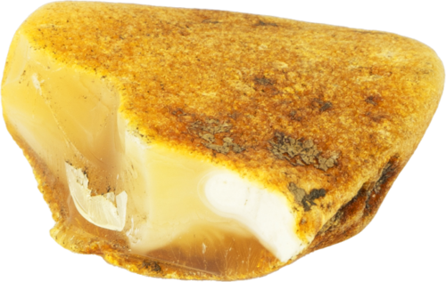 10,65 g Jūrinio Gintaro grynuolis (2)