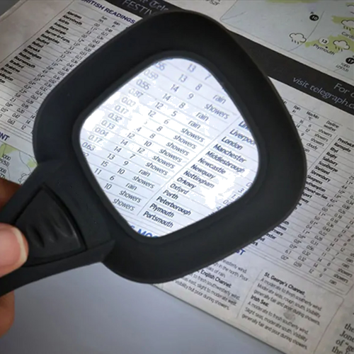 Lupa Inteligence (8)