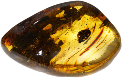 31,60 g Amber nugget (3)