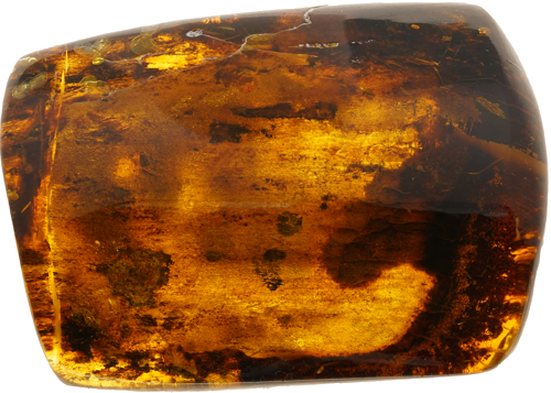 15,70 g Amber nugget (2)