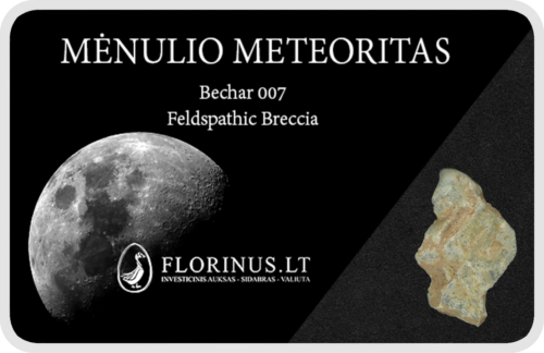 Lunar meteorīts (1)