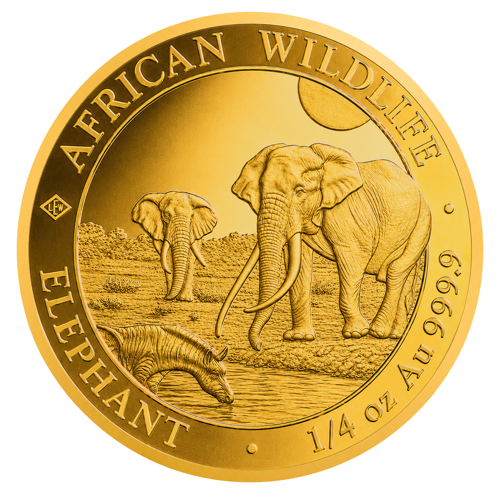 1/4 oz Elephant 2026 Somalia Gold Coin (1)