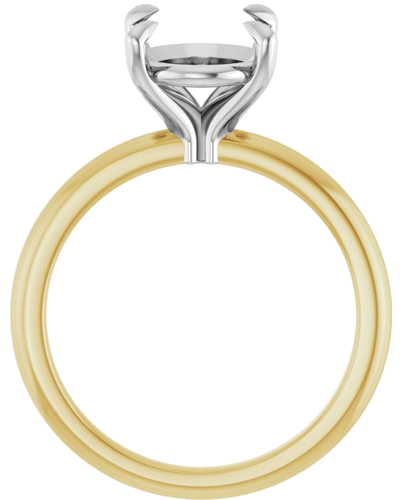 Sužadėtuvių Žiedas „Claw-Prong“ 14k yellow/white gold Oval 11mm x 9mm (2)