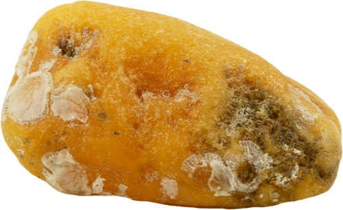 5,65 g Jūrinio Gintaro grynuolis (1)