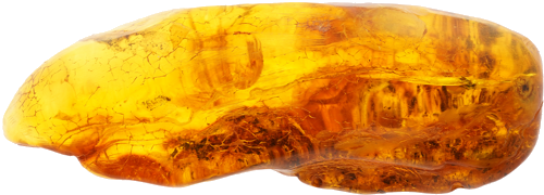 23,90 g Amber Nugget with inclusion (1)