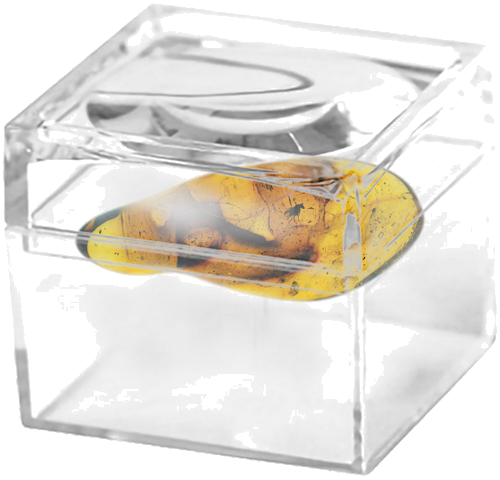 3,20 g Amber Nugget with inclusion (2)