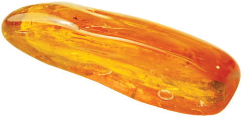 8,45 g Amber Nugget with inclusion (3)