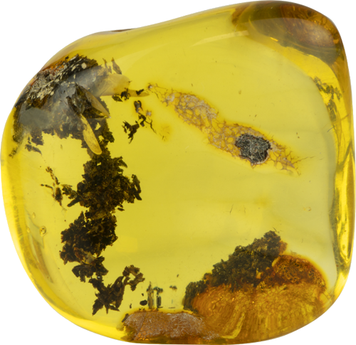 8,95 g Amber nugget with inclusion (1)