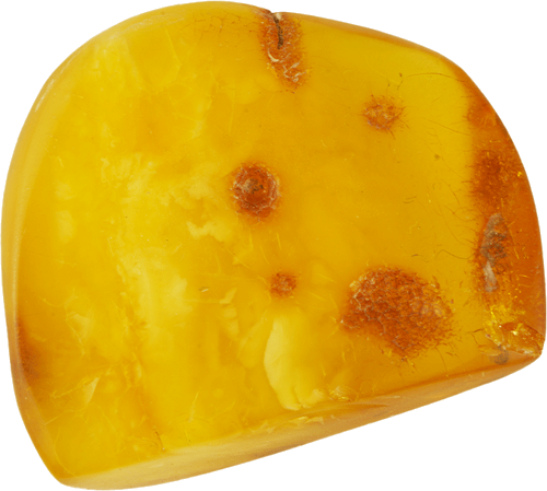 Самородок янтаря 13,40 г (1)