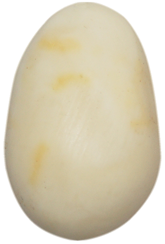 2,15 g Gintaro grynuolis (1)