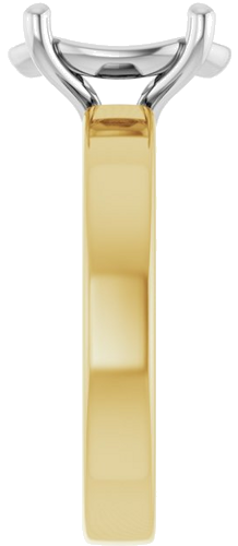 Sužadėtuvių Žiedas „Solitaire“ 18k yellow/white gold Oval 11mm x 9mm (3)