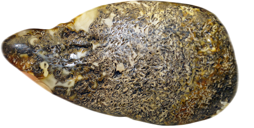 15,60 g Gintaro grynuolis (2)