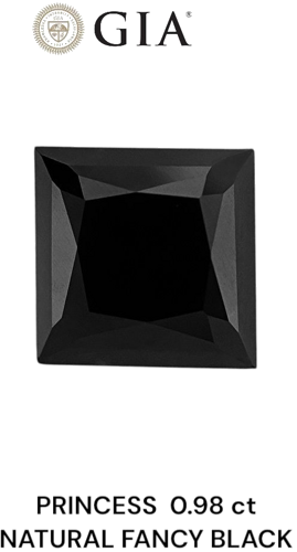 0.98 carat Fancy Black-VVS2 Natūralus Princess Deimantas (1)