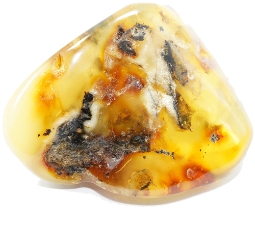 20 g Gintaro grynuolis (2)