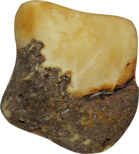 15 g Gintaro grynuolis (1)