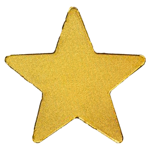 2009 Palau Republic Star 1 Dollar Gold Coin (2)