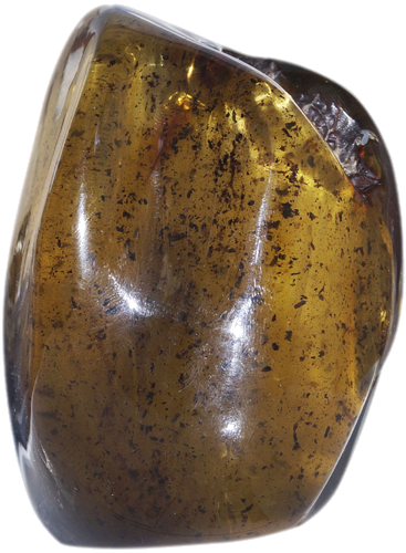 220 g Gintaro grynuolis (1)