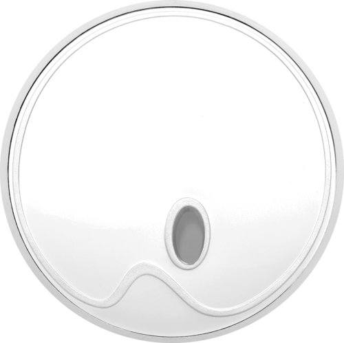 2012 Lithuania Art 10 litas silver coin PF 69 ULTRA CAMEO (3)