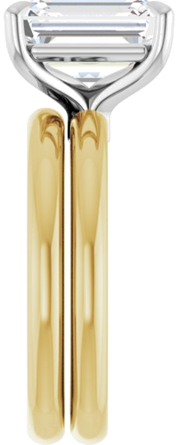 Sužadėtuvių Žiedas „Claw-Prong Euro Shank“ 14k yellow/white gold Emerald 10mm x 8mm (9)