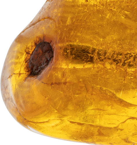 3,90g Amber nugget with inclusion (3)