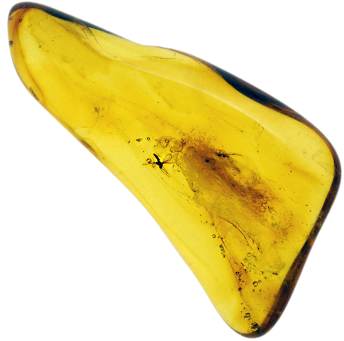 3,85 g Amber Nugget with inclusion (1)