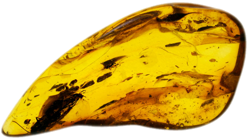 2,70 g Gintaro grynuolis su inkliuzais (1)